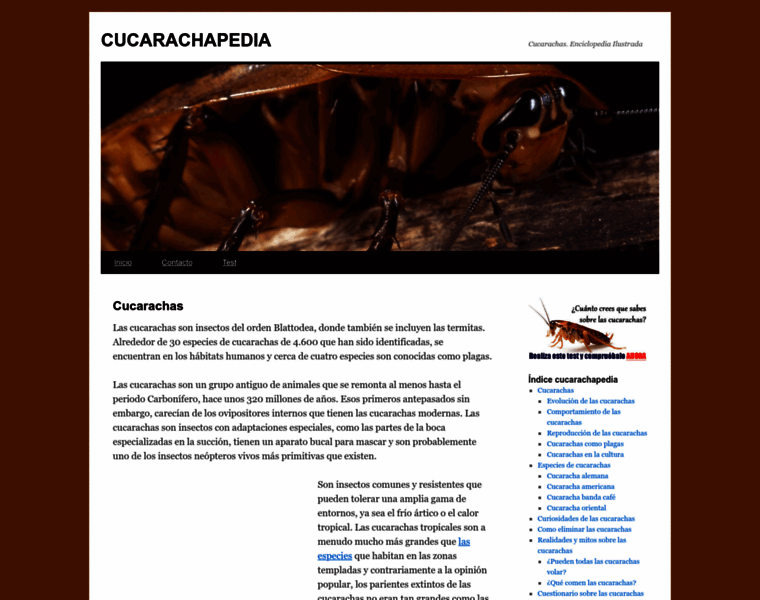 Cucarachapedia.com thumbnail