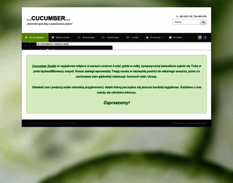 Cucumber-studio.pl thumbnail