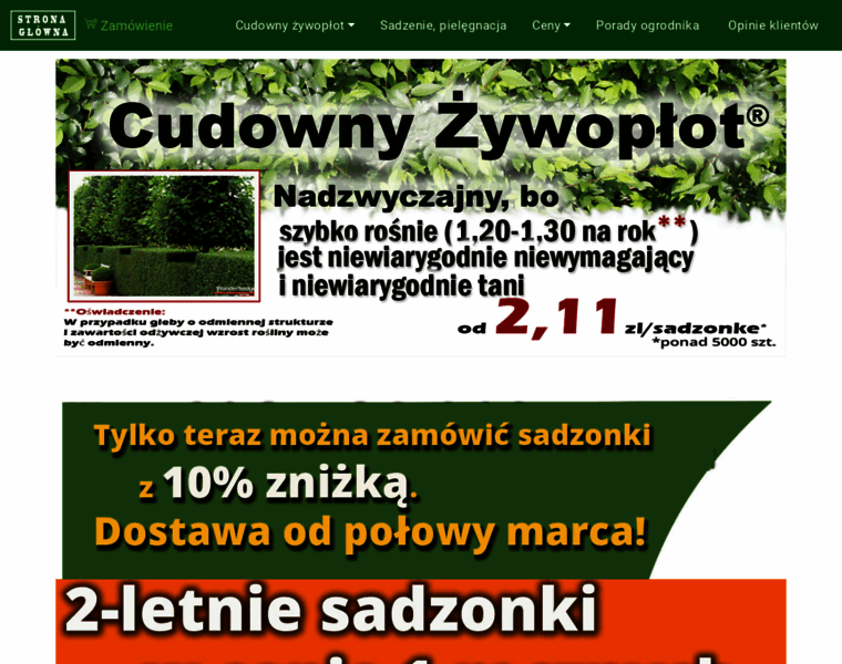 Cudowny-zywoplot.pl thumbnail