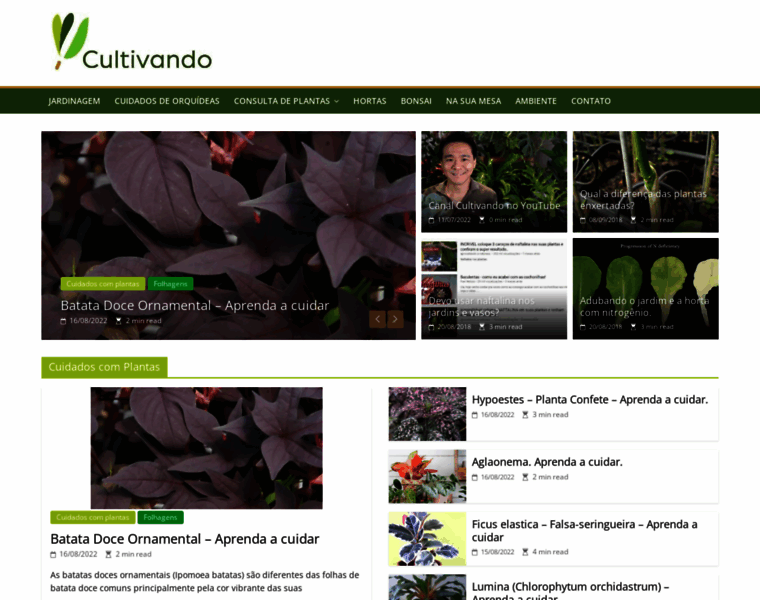 Cultivando.com.br thumbnail