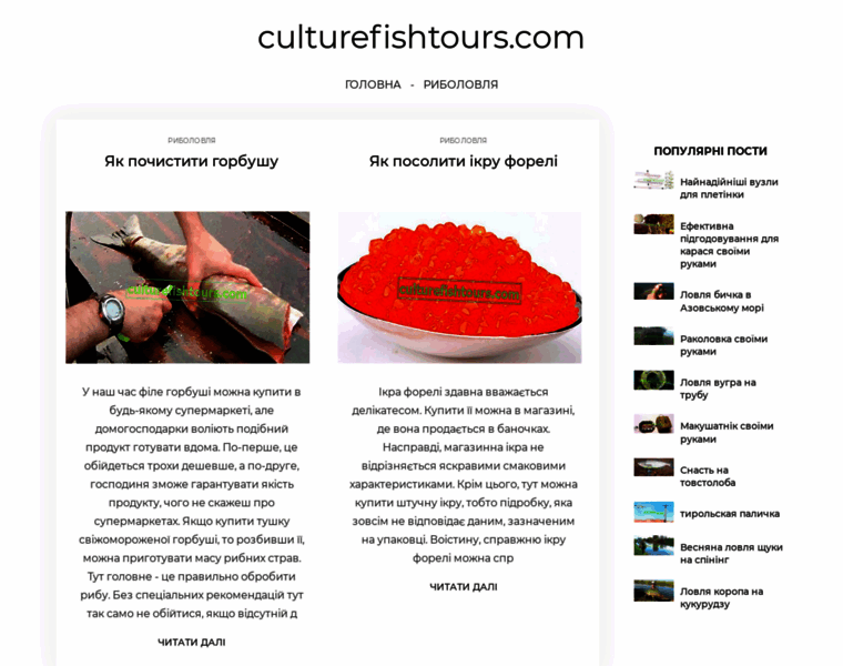 Culturefishtours.com thumbnail