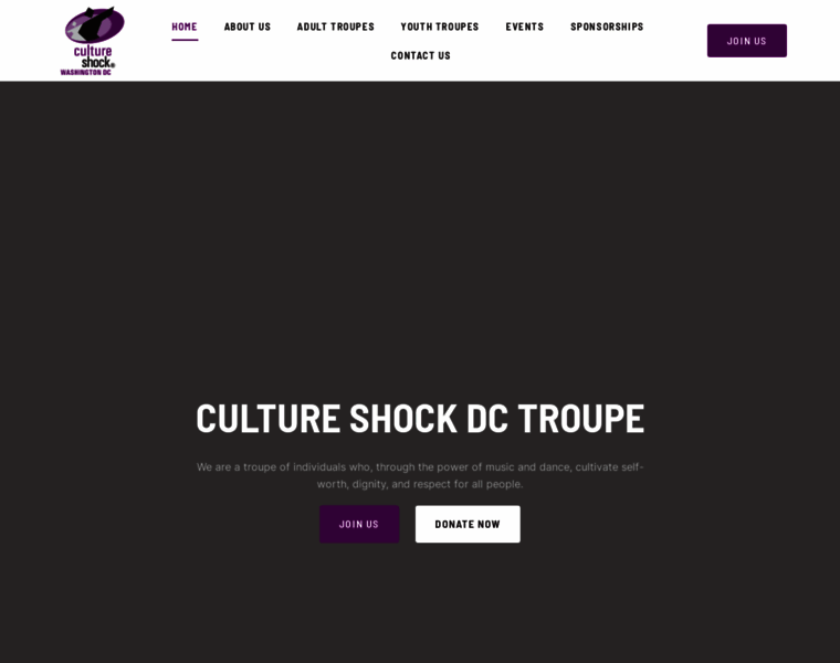 Cultureshockdc.org thumbnail