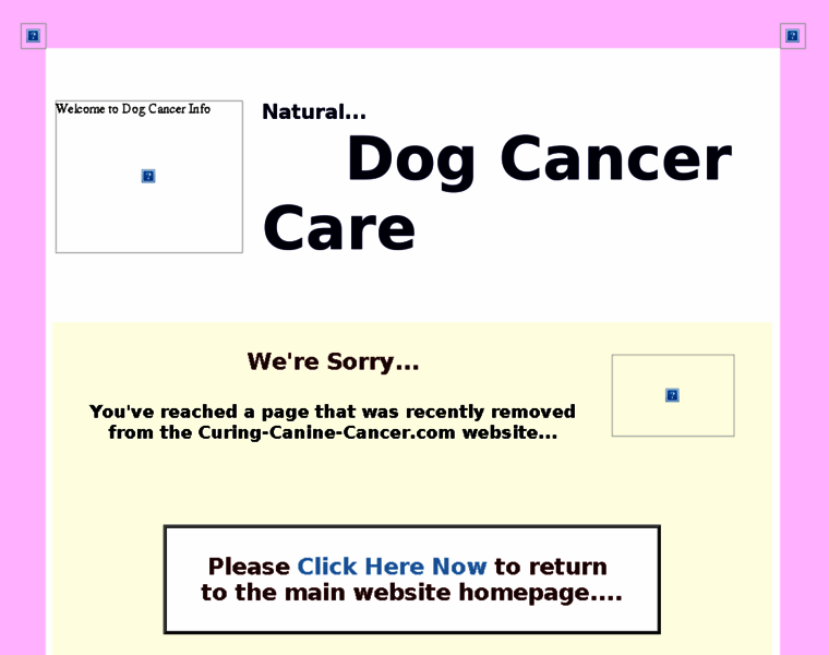 Curing-canine-cancer.com thumbnail