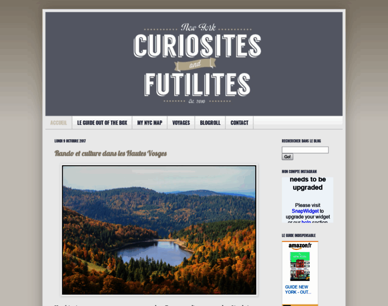 Curiosites-futilites-new-york.com thumbnail