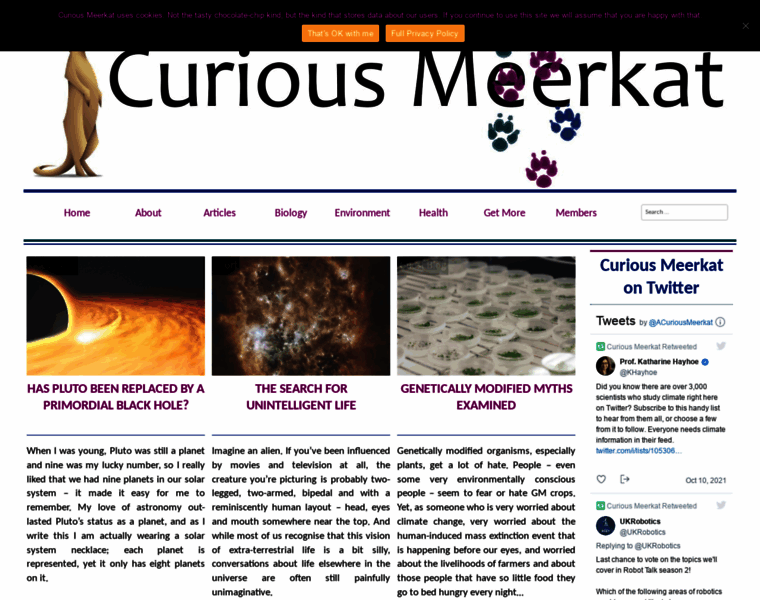 Curiousmeerkat.co.uk thumbnail