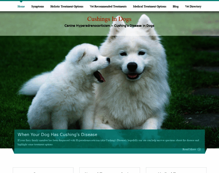 Cushingsindogs.com thumbnail