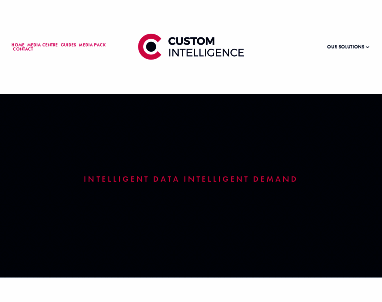 Custom-intelligence.com thumbnail