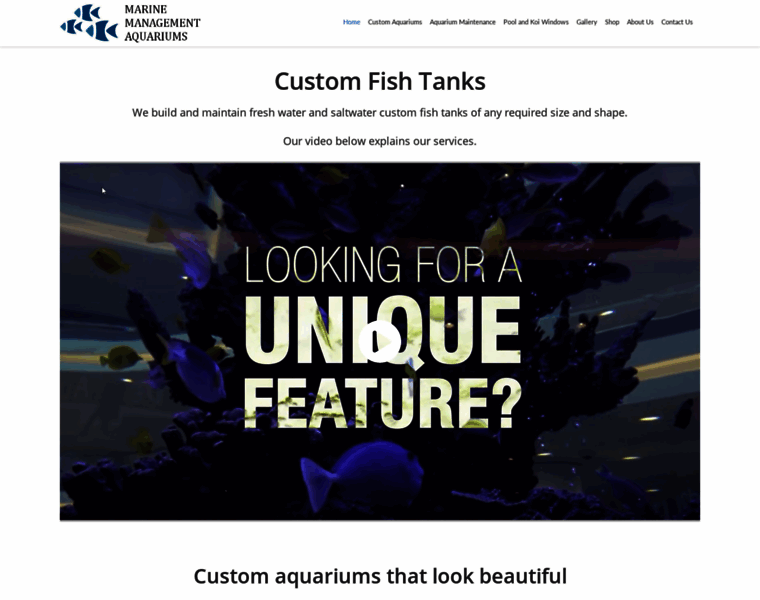Customfishtanks.co.za thumbnail