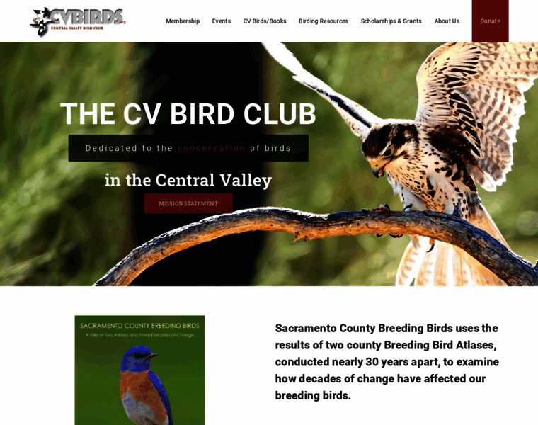 Cvbirds.org thumbnail