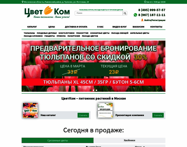 Cvet-kom.ru thumbnail