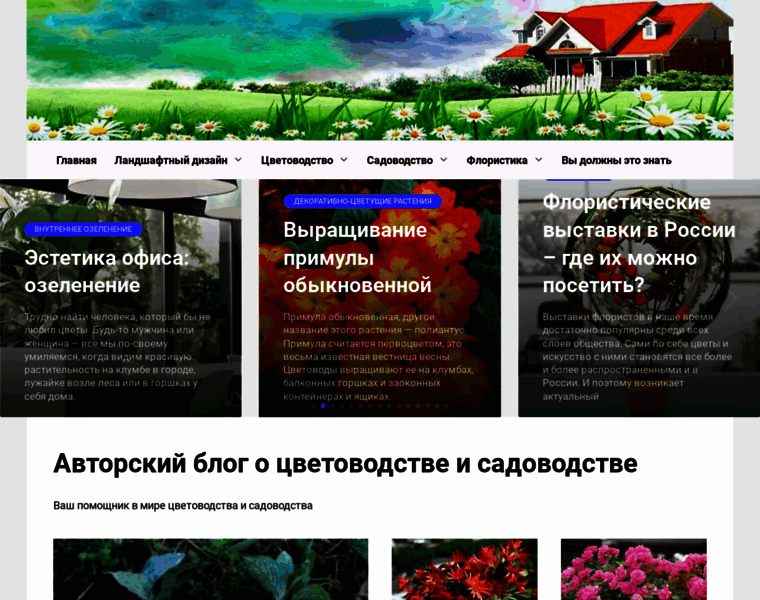 Cvetutcvety.ru thumbnail