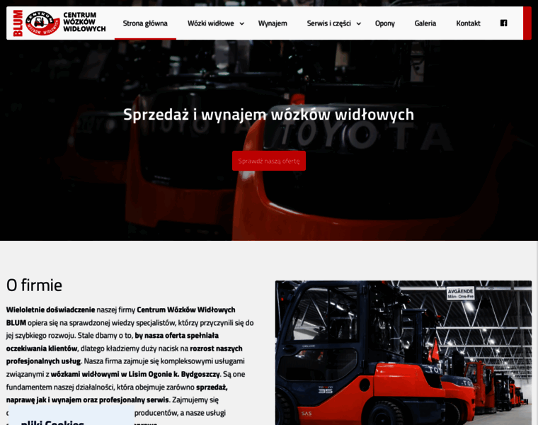 Cwwblum.pl thumbnail Cwwblum.pl thumbnail