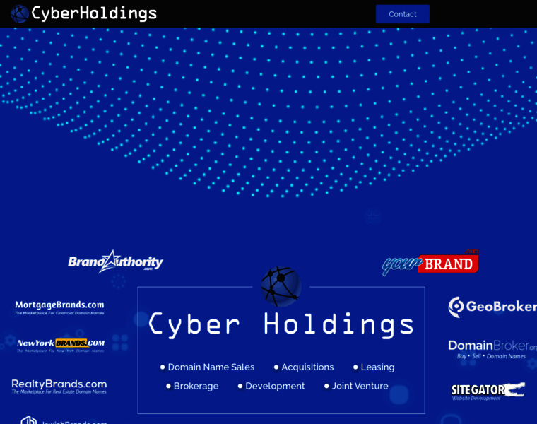 Cyberholdings.com thumbnail