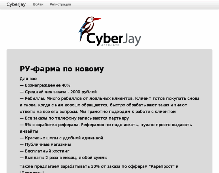 Cyberjay.org thumbnail