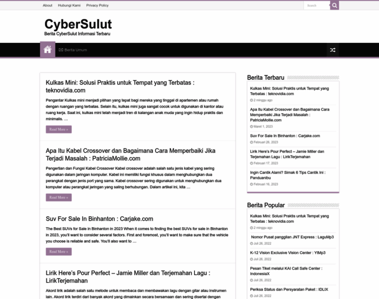 Cybersulutdaily.com thumbnail
