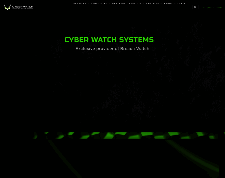 Cyberwatchsystems.com thumbnail