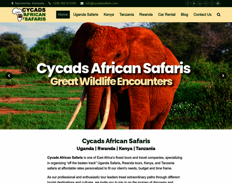 Cycadssafaris.com thumbnail