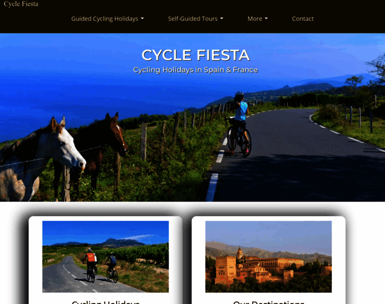 Cyclefiesta.com thumbnail