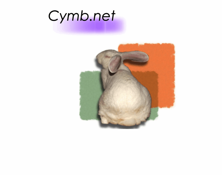 Cymb.net thumbnail