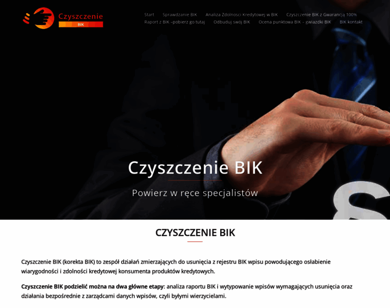 Czyszczenie-bik.pl thumbnail