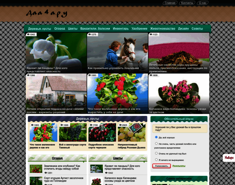 Daa4a.ru thumbnail