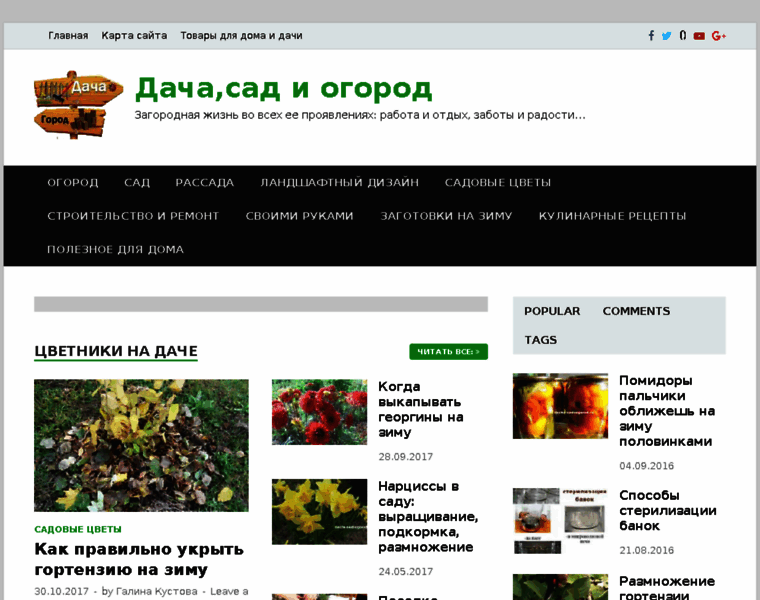 Dacha-sadoogorod.ru thumbnail