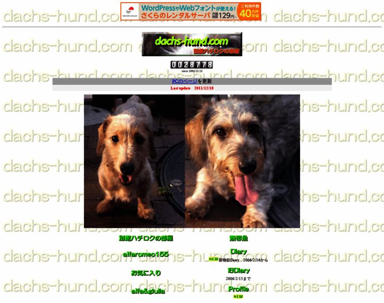 Dachs-hund.com thumbnail
