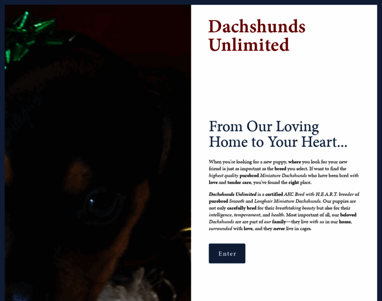 Dachshunds-unlimited.com thumbnail