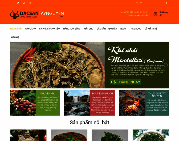 Dacsantaynguyen.com thumbnail