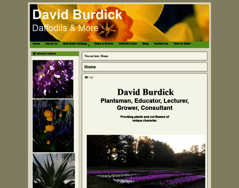Daffodilsandmore.com thumbnail
