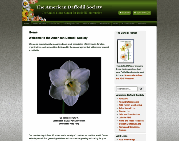 Daffodilusa.org thumbnail