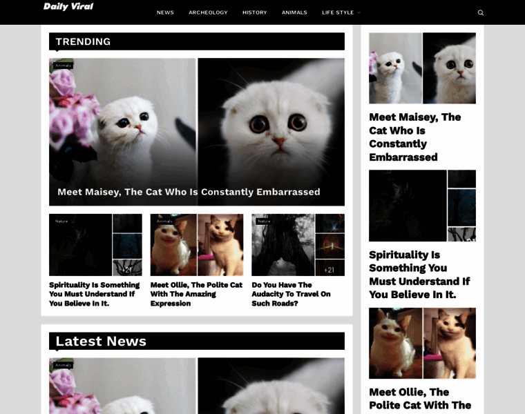 Dailyviral.net thumbnail Dailyviral.net thumbnail