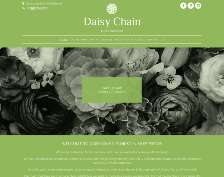 Daisychain-florist.co.uk thumbnail