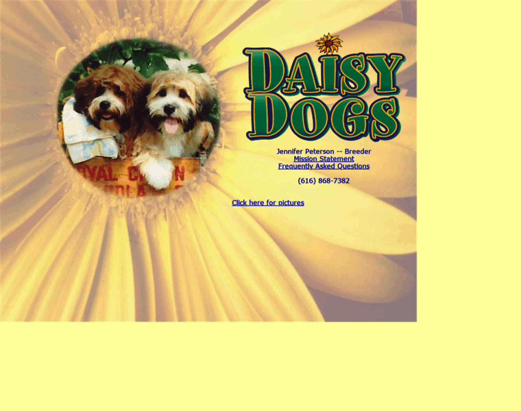 Daisydogs.com thumbnail
