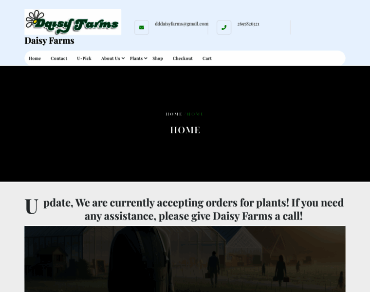 Daisyfarms.net thumbnail