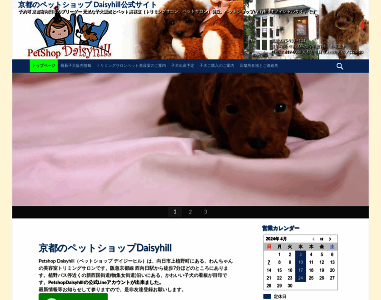 Daisyhill.jp thumbnail