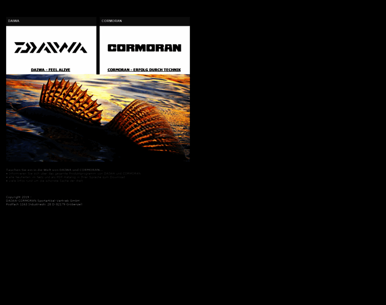 Daiwa-cormoran.info thumbnail