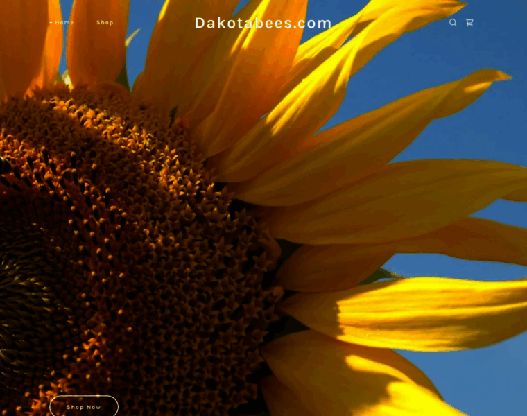 Dakotabees.com thumbnail