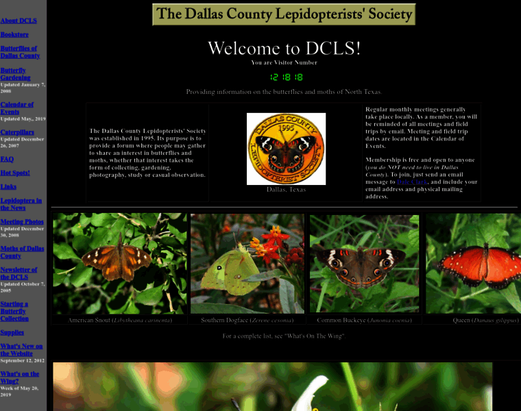 Dallasbutterflies.com thumbnail