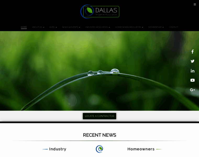 Dallasia.org thumbnail