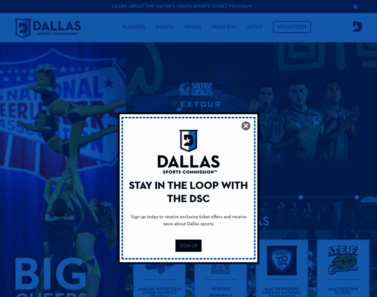 Dallassports.org thumbnail