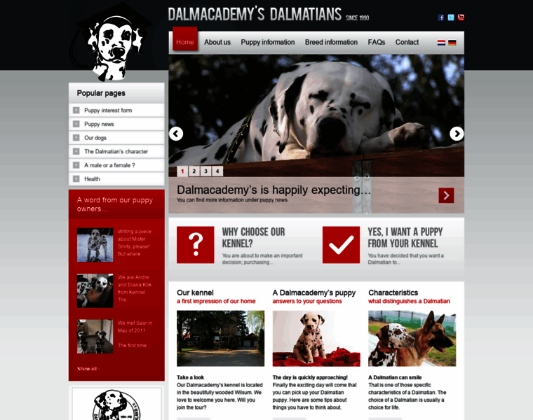 Dalmatians.info thumbnail