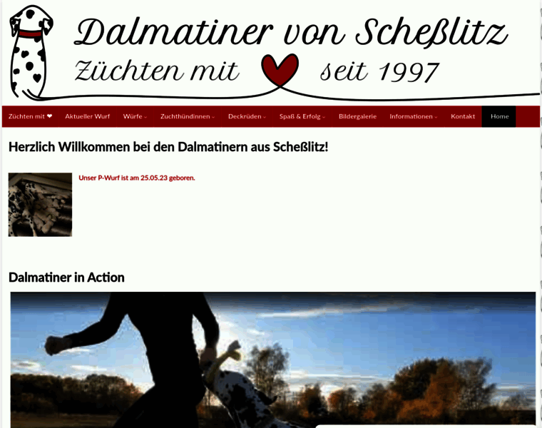 Dalmatiner-von-schesslitz.de thumbnail