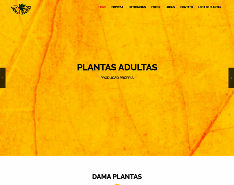 Damaplantas.com.br thumbnail