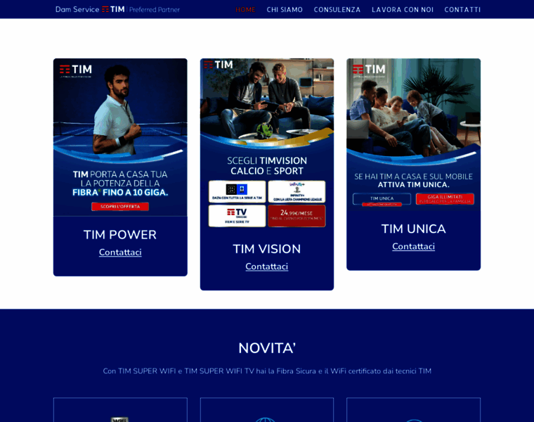 Damservice.com thumbnail
