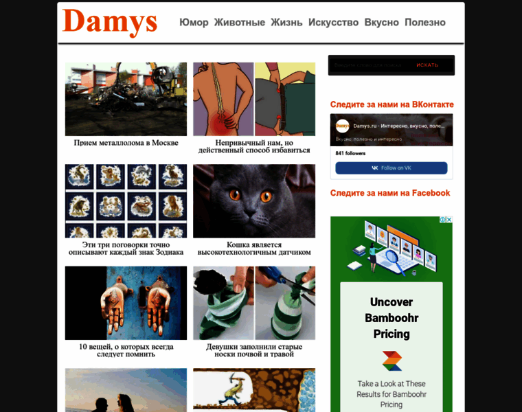 Damys.ru thumbnail