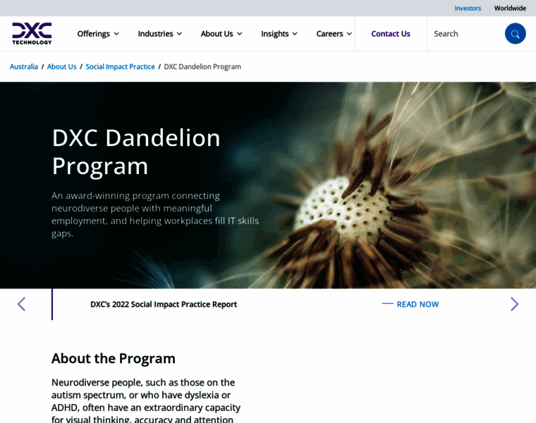 Dandelionprogram.com thumbnail