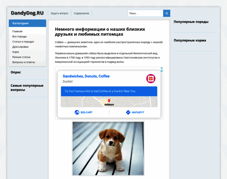 Dandydog.ru thumbnail