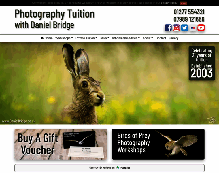 Danielbridge.co.uk thumbnail Danielbridge.co.uk thumbnail
