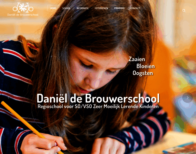 Danieldebrouwerschool.nl thumbnail
